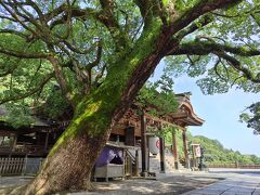 どこかにマイルで高松へ（前編・香川県）