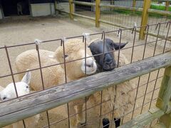 磐梯熱海方面にも行ってみた - 福島・郡山 - 1泊2日旅 2日目