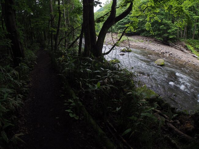 梅雨の合間の弘前・青森・八甲田（3）