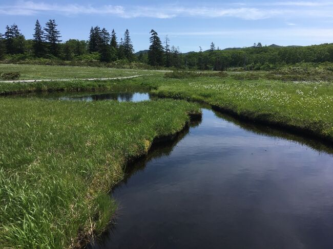 ニセコ神仙沼。<br />手軽に北海道の大自然に触れられます。<br />年に一度は足を運びたい場所でしたが、コロナもあってなかなか難しかった。<br />まだあるかな……