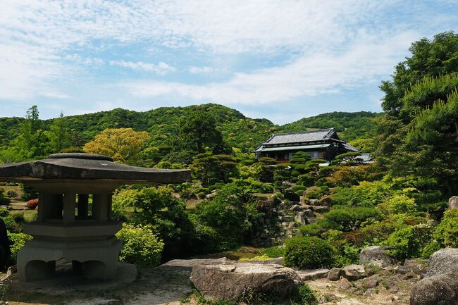 旅行6日目（5月3日）。<br />今年は梅も桜も藤も開花が早かったので、ツツジも早めかも…と期待して訪ねたのは10万本のつつじが咲き誇る山口県内屈指の名所つつじ名所“大平山山頂公園”。<br />ランチの後は1916年に建てられた公爵毛利家の本邸を公開して毛利家に伝来する美術工芸品・歴史資料約2万点を収蔵している“毛利博物館”と、84,000㎡もの広大な敷地に回遊式の庭園を設け四季折々の景観を楽しむことができる“毛利氏庭園”を鑑賞した。<br />車で移動して741年に聖武天皇の勅願により国ごとに建てられた官寺のひとつで創建当初の境内に現在もなお貴重な伽藍を残す“周防国分寺”と、福岡の太宰府天満宮・京都の北野天満宮と共に日本三天神に称せられている“防府天満宮”も参拝した。