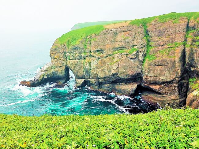 6月30日(金)<br />北海道の旅4日目 最終日。<br />前日、霧多布岬でラッコに会えたことで達成感あり。<br />ペンションポーチをチエックアウト後は、釧路空港までの道すがら、のんびり観光。<br />前日までの3日間では、時間的に立ち寄れず断念した観光スポットがありましたが、この日は全て予定通り。<br />レンタカーでの移動距離は、約110ｋｍ、2時間45分の運転時間でした。<br /><br />表紙の写真は、涙岬展望台から涙岬を撮影。<br />絶景スポットだとは知らずに展望台に向かって歩いていったので、断崖絶壁から見る景色の素晴らしさに圧倒( ﾟ∀ﾟ)o彡°ﾋｭｰ