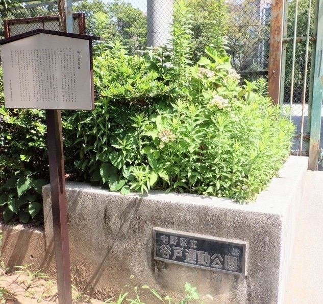 新宿区の城跡巡りを終えて、中野城山居館跡に行きました。