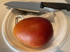 宮古島でマンゴーを買うなら？