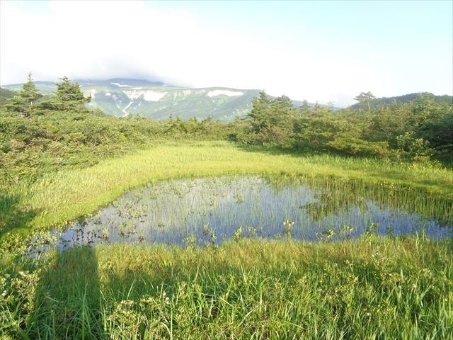 前日に月山山頂を経て，念仏ヶ原避難小屋に宿泊した翌日，肘折温泉に向かって出発しました．行程は4時間程度ですが，微妙なアップダウンが続きました．でも，前日の宿泊で，食糧を食べてしまったので，荷物は大部軽くなり，それ程苦労せずに歩くことが出来ました．肘折温泉の月山登山口に到着したのが10時半頃でしたが，ここから肘折温泉までは更に約1時間歩かなければいけません．車道なので，本来はタクシーを呼んで置ければ迎えに来てくれることもできるはずなのですが，現在肘折温泉は営業しているタクシーがないため，結局歩くしかないということになります．結構疲れ果てて肘折温泉まで辿り着き，この日の宿泊予定である旅館松屋さんにチェックイン．ここは洞窟風呂で有名な旅館で，今回が二度目の利用です．前回洞窟風呂を利用したので，今回は宿泊者限定の無料入浴券を貰って上ノ湯へ．ほぼ貸切状態でした．その後柿崎もち屋で昼食．「もち屋」という名前で，以前はお餅を出している人気店だったのですが，現在ではラーメンしかやっていません．でも屋号はそのまま「もち屋」を続けています．この日は，肘折温泉に宿泊し，翌日バスで新庄駅まで行きました．2泊3日の月山登山で距離も長く，結構疲れましたが，とても良い経験になりました．