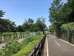 【東京を自転車で走る旅】(9) 多摩湖自転車道・周回部 終盤