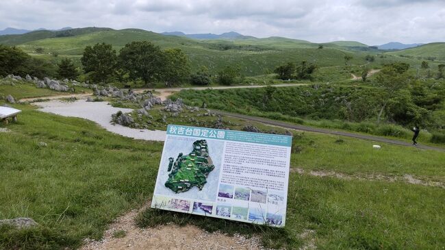 水無月 梅雨の合間の晴間に山口県美祢市の特別天然記念 秋吉台と秋吉洞の3.6億年の造形の絶景を堪能