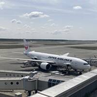 JAL B777-200ERで行く札幌☆モエレ沼公園のガラスのピラミッド・円山公園のリス