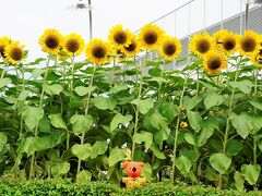 2023ANA修行16-5（チャンギ空港探検！から羽田まで）