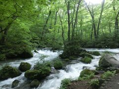 遠く青森まで、約3000㎞のドライブ旅行でした。その１:　奥入瀬渓流まで