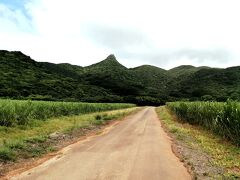 【島旅2023夏 3】石垣島 野底マーペー登山…北麓からの完全自力登頂にチャレンジです