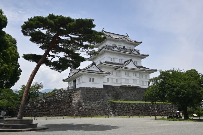 小田原でホテルステイ＋αの強化合宿。<br />＜旅程＞<br />2023/7/6 東京-小田原　小田原泊 <br />2023/7/7 小田原-東京 ★<br />