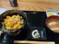野田・普代・田野畑の旅行記