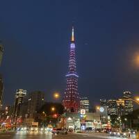 2023年7月　東京タワーが見たくなったので絶景スポットに行ってきた（夜景編）