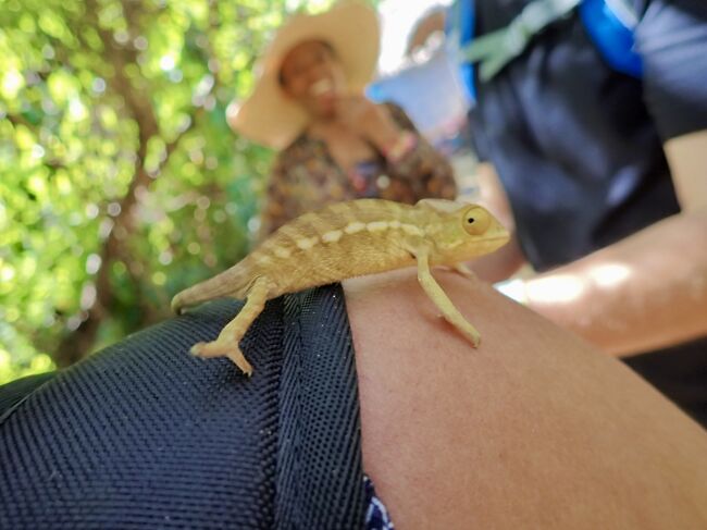 タイです。<br />マダカスカルの北、ノシベ島のツアーに行って来ました。<br />キツネザルやカメレオンのいる島に行きます。