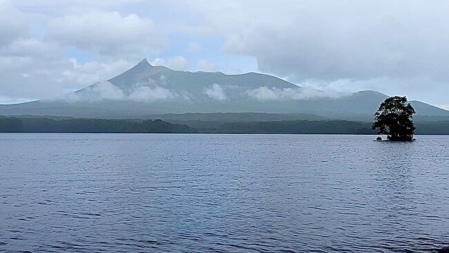 北海道フリーパスで旭川から札幌経由で、特急北斗に乗って海沿いを眺めながら、大沼公園へ行きました。<br />旭川から日帰りで行ってくるので、ほとんど電車旅。<br />電車好きのつれあいに付き合ったつもりが、いつのままか撮り鉄状態の自分にビックリ！<br />鉄道旅で疲れて、翌日はどこも天気予報が雨ばかりだったので、芦別温泉に行ってゆっくり過ごしました。