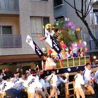 12日から山笠三昧～山笠があるけん、チューリップがおるけん博多たい②～