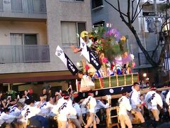 12日から山笠三昧～山笠があるけん、チューリップがおるけん博多たい②～