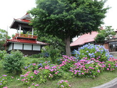 らいでんメロンと紫陽花を求めて共和町までドライブ