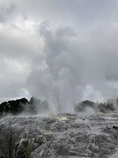 ニュージーランド北島旅行２【ワイトモ洞窟、テ・プイア、ロトルア編】