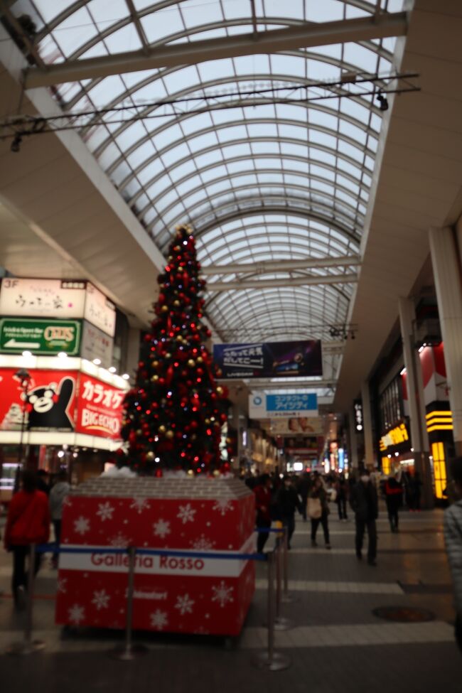 熊本ウォークは冬も行います