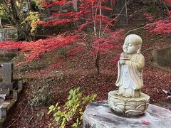 茨城大子の紅葉寺へ紅葉を見に行こう