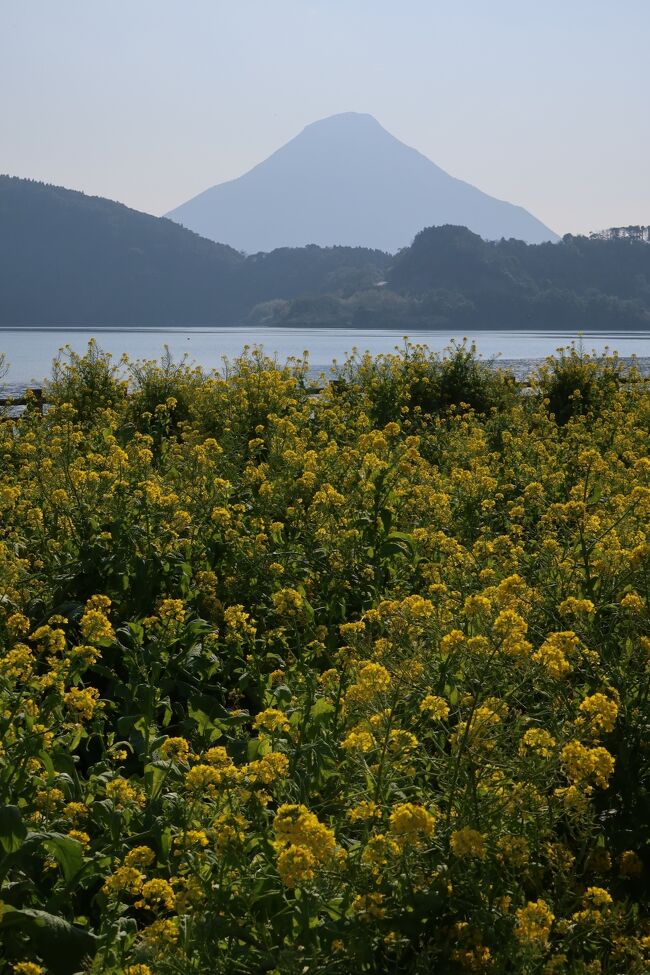 鹿児島薩摩半島最南端の池田湖、開聞岳等指宿周辺を巡りました