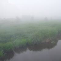 釧路の夜と霧の湿原を堪能の巻
