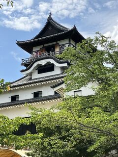 現存する日本最古の木造天守犬山城と新長谷寺三重の塔