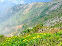 伊吹山（１３７７ｍ）のお花畑