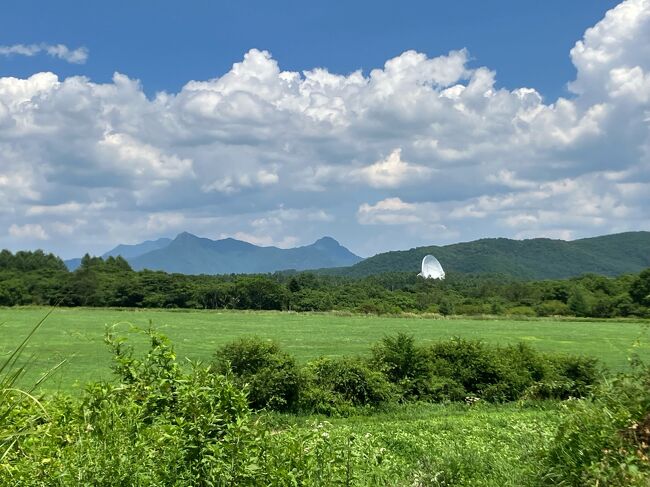 2023年も避暑に蓼科へ。この夏は３回の滞在を予定しています。<br /><br />今回はその１回目。７月１９日から２６日までの８日間の記録です。前半は私たち夫婦だけ、後半３日間は孫たち３人も一緒。旅行記というよりプラーベートな備忘録です。