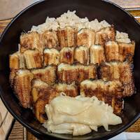 8歳子連れGWは車で福岡～淡路島～広島【7】定番のOKOSTA＆今年も朝食は宮島口うえののあなごめし