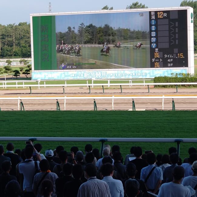 新潟競馬場へ初めて行きました。<br />友人と新潟の1000m直線レースを見たいと話したのを実現しました。<br />スタート地点から登り坂なので、スタンドからスタート地点はほとんど見えません。直線レースでは各馬が外ラチ沿いに走ってくるので、見る方は迫力満点でした。<br />新潟も猛暑で非常に暑く、屋外の席での観戦は厳しかったです。<br />冷房のある指定席を確保するのは難しいので、この季節は避けた方が良いと思いました。<br />