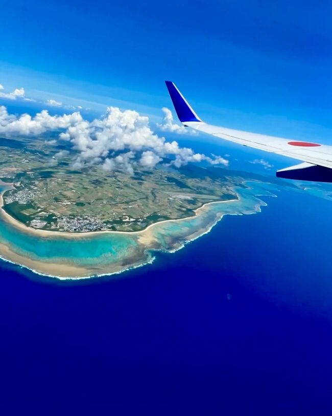 今年も八重山の島々に訪れることが出来ました。毎日が楽しい島ライフ。<br />そんな2023年版備忘録です。<br />毎年のことなので代わり映えしない内容かもしれませんが、<br />そんな変わらない島ライフもいとおかし。しばしお付き合いくださいませ。