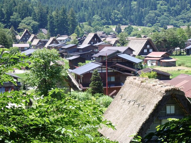 　７月３日、車で好天の庄川峡を訪れた。外国人観光客の多い白川郷を散策し、その後三母衣ダムを見て帰った。