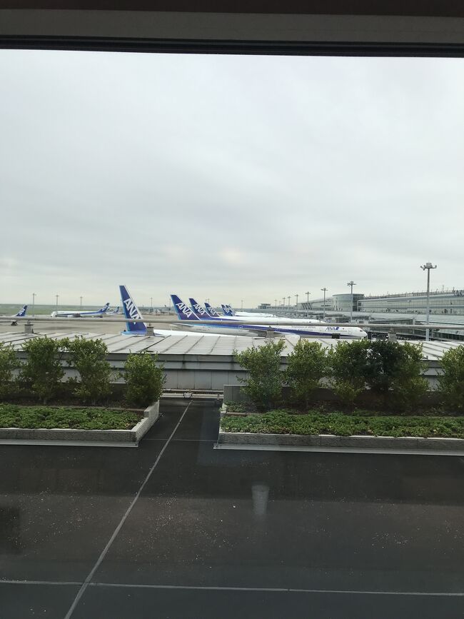 佐賀旅行で利用した羽田空港内を散策しました。<br />行きは電車で羽田空港に行き、帰りは家族に車で迎えに来てもらい羽田空港で食事含めて空港内を散策しようと計画しましたが予定外となってしまいました。