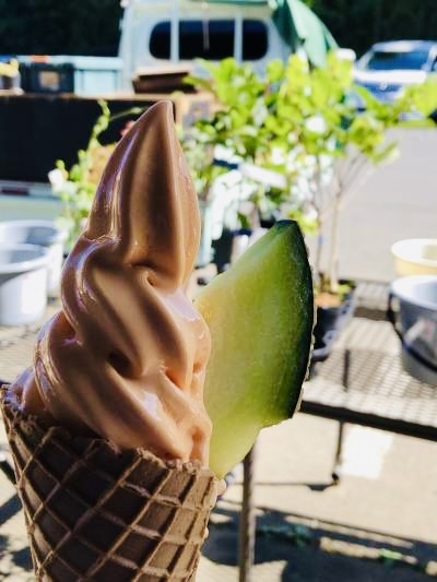 鉾田でメロン・ソフトクリーム