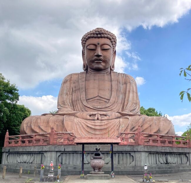 天気のいい日曜日のドライブ、東海市自慢のあの大きな大仏様を見に行ってきました。<br />まずは、「和田珈琲店 季楽」の美味しい珈琲のお洒落モーニングからスタートして、「聚楽園の大仏様」へ。本当に大きい！そして、聚楽園公園を散策後、公園内の「茶室 嚶鳴庵」へと向かい、お抹茶セットをいただき、お庭を見ながらこころ静かに素敵な時間を。その後は、「弥勒寺」、「熊野神社」を参拝。そして、「大池公園」では、クジャクが羽を見事に広げたところに立ち会えました。池の周りの散策も気持ち良かったです。ラストは、「手打ちめん処 喜代志」で、味噌煮込みうどんを堪能して、帰路につきました。<br />東海市をじっくりまわったのは、初めてでしたが、思いのほか、観光名所が固まっていたので、時間を有効的に使えて、楽しい一日を過ごせました。何よりもずっと見たかった聚楽園の大仏様にお会いできて良かったです。<br />