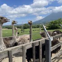 *7月♪夏休み第一弾☆京極•ニセコ編（0歳/2歳/小1子連れ旅行記）