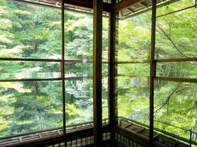 7月6日から8日までの2泊3日でメチャ暑い京都へ出掛けて来ました。<br /><br />今回は2日目前編です。。<br />朝食は京都駅ビル内にある美味しいと有名な”つくもうどん”さんで頂いて、バスが混み合う前に早々に大原を目指しました。<br />お目当ては三千院の紫陽花と苔庭♪<br />そして今回初の宝泉院で大きな松の木を見て、八瀬へ移動して青もみじの瑠璃光院へ行って来ました。。<br />前回の紅葉ピーク時期とガラリと変わって、YOUも観光の方も少なくて瑠璃光院で机もみじをメチャ堪能して来ました。<br />瑠璃光院を後にして、ケーブルカーで比叡山へ登る前にBBQができるお茶屋さんで喉を潤して美味しいお団子を頂いて来ました♪<br />比叡山のガーデンミュージアムは後編でお伝えしたいと思います。。<br /><br />今回はグルメ色が少ない涼し気な?京都の大原&八瀬地区をお届けです。。<br />最後までお付き合い頂けると嬉しいです。<br />