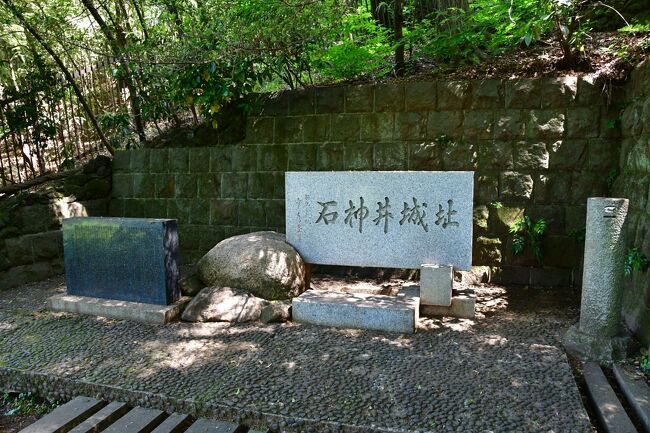 　久し振りに千葉県を訪れた。<br /><br />　今回は松戸城、根本城、相模台城、小金城を訪問。<br /><br />　行きたかった松戸市内の城はとりあえず2日で訪れられたので、3日目の最終日は東京都に向かい、20年振りに石神井城を訪れた。<br /><br />　松戸はラーメン激戦区との事だったので、1杯くらい食べてみようかと思っていたが、何だかんだで食べず仕舞い。<br /><br />　最終日は東京旅行になってしまった（初日もだが）。