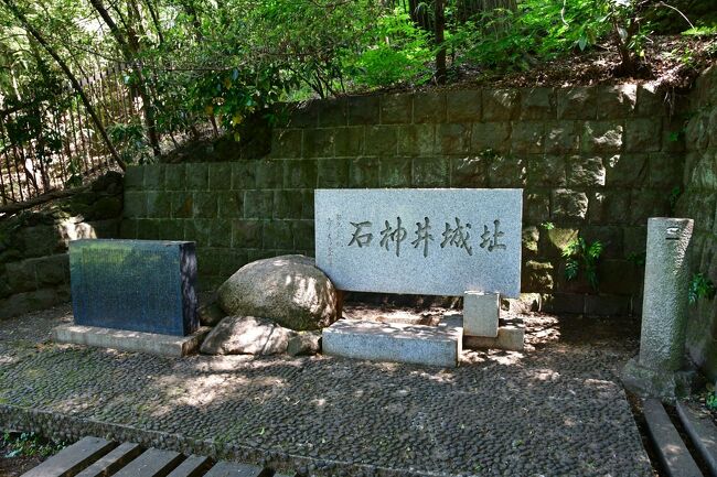 久し振りに千葉県を訪れた。<br /><br /> 今回は松戸城、根本城、相模台城、小金城を訪問。<br /><br /> 行きたかった松戸市内の城はとりあえず2日で訪れられたので、3日目の最終日は東京都に向かい、20年振りに石神井城を訪れた。<br /><br /> 松戸はラーメン激戦区との事だったので、1杯くらい食べてみようかと思っていたが、何だかんだで食べず仕舞い。<br /><br /> 最終日は東京旅行になってしまった(初日もだが)。