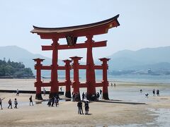 サミット2023直前の広島3日間の旅～2日目　連れと合流し厳島神社へ