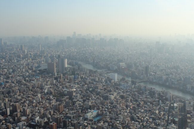 やっと実現した一時期国　新大久保～渋谷～スカイツリー