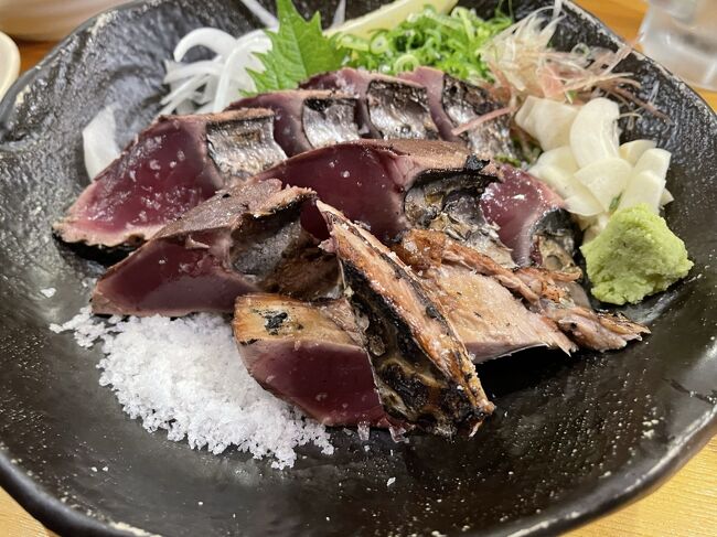 初めて高知に来ました!!<br />ホントは見るものはたくさんあるのでしょうが、レンタカーが全く見つからず、高松からバスで到着するのも午後だったり、初高知はあまり忙しくしないでおいて、美味しいものを食べようということで1日目はほとんど動かず体力温存してました。