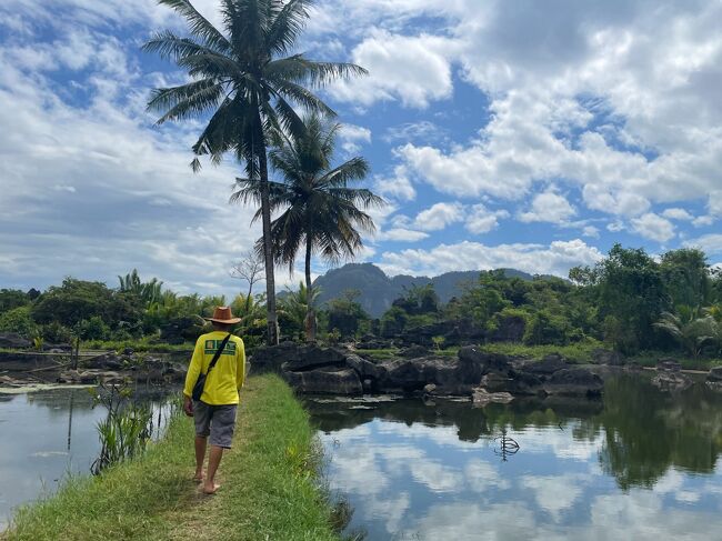 旅行二日目の夕方、シンガポールからインドネシアのマカッサルへ。<br />到着翌日から4泊5日の南スラウェシのおひとり様ツアーがスタート！<br />出だしから時間通りに迎えが来なかったりと焦りましたが、<br />無事ドライバーさんと合流し、まず向かったのはラマンラマン。<br />小舟に乗り込みジャングルクルーズを楽しみ、<br />カルスト台地が広がる雄大な景色と長閑な農村風景に癒されました。<br />タナトラジャからの帰りは一直線でマカッサルへ戻るため、<br />行きは途中の見所へ寄り道しながらタナトラジャへ。<br />ラマンラマンからは旅行三日目の宿があるセンカンへ夕方到着！<br /><br />7/10(月)　関空16:00発→シンガポール21:00着（シンガポール泊）<br />7/11(火)　シンガポール15:15発→マカッサル18:15着（マカッサル泊）<br />7/12(水)　マカッサル→ラマンラマン→センカン（センカン泊）<br />7/13(木)　センカン→エロチックマウンテン→ランテパオ（ランテパオ泊）<br />7/14(金)　タナトラジャ南部→タナトラジャ北部（バトゥトゥモンガ泊）<br />7/15(土)　タナトラジャ北部→ボル市場→タナトラジャ南部（ランテパオ泊）<br />7/16(日)　ランテパオ→パレパレ→マカッサル（マカッサル泊）<br />7/17(月)　マカッサル11:55発→シンガポール14:35着（シンガポール泊）<br />7/18(火)　シンガポール7:55発→関空15:35着