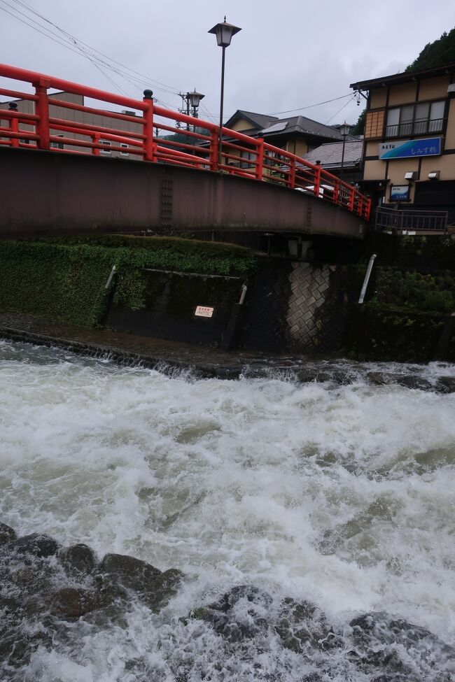 【岐阜・愛知旅行2泊3日　その２】雨の郡上八幡