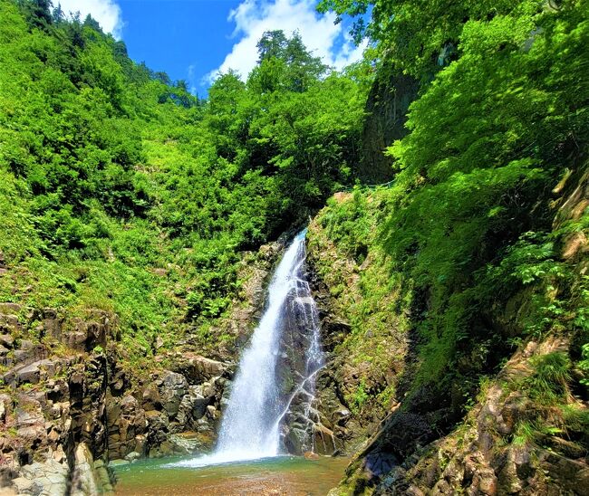 今年こそ、姉と男鹿半島に行く予定だったのに、<br />14日からの記録的な大雨で広い範囲が浸水。<br />しまいには、秋田新幹線、五能線も運休。<br />代替え運行もないみたい。<br />どうする？<br />メールを送ると、<br />今からJTBに来れるかしら？<br />キャンセルするにしても、手続きしないとだものね。<br />半分そんな気持ちで行くと、いろいろ聞いたけれど、青森にしようよって。<br />酸ヶ湯の八甲田ホテルが運よく取れるって。<br />次の日は弘前で過ごしたいから、弘前のビジネスホテルにしようよ。<br />温泉がある、ドーミーインはいかがですか？<br />1泊９０００円です。<br />安く泊まれたから、八甲田ホテルにしようよ。<br />三日目は、界津軽に。<br /><br />なんだか、変更がトントンと決まってしまって、青森に。<br />本当は男鹿半島、なまはげ踊りが見たかったのになあ。<br />仕方がないか、気を取り戻して、楽しみましょう。<br /><br />2日前に、姉から弘前のレストラン山崎に予約入れましたって。<br />奇跡のリンゴだって。<br />私はよくわからないけれど、予約を入れないと食べられないレストランなんだ。<br />なんか楽しみ。<br />天気もよさそうだし、熱中症に気を付けて行かないと。<br /><br />さてさて、どんな旅行になるかしら？<br />