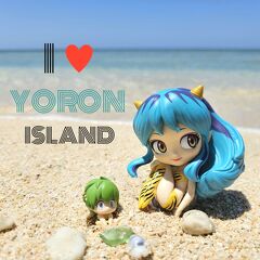 【3】ビーチを巡り浜辺で遊ぶ☆鹿児島県：与論島５日間