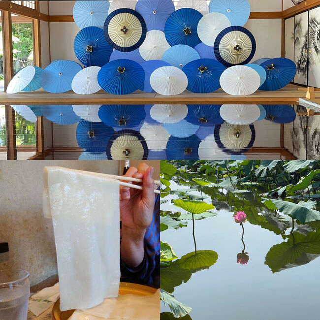 ご覧頂きありがとうございます!<br /><br /><br /><br />大人の夏休み、第二弾。<br /><br /><br />https://4travel.jp/travelogue/11814267<br /><br />この旅行記でharurunさんに京都でお会いしたときに、「群馬へも是非~」という話になり「もしも群馬ならどこへ行きたい?」と聞くと<br /><br />https://4travel.jp/travelogue/11701747<br /><br />(館林。蓮の花)<br /><br />この旅行記を覚えていてくれて、「館林へ行こう」と盛り上がりました!(^^)!<br /><br />この蓮の花を見に行くなら「夏」、私が行った7月の中旬はちょっと早過ぎ、お互いの日程をすりあわせ、この日に決めました!<br /><br />とにかくお天気(雨と暑さ)が心配・・・けど、心配しても仕方ない!<br /><br />そして、そもそも1度しか会ったことのない2人が一緒に一泊の旅を楽しめるのか・・・・(笑)<br /><br /><br /><br />いろんな心配が杞憂に終わった、楽しい映え過ぎる2日間!(^^)!<br /><br />大人の夏休み、第二弾、宜しければ、一緒にお楽しみくださいませ~<br /><br /><br /><br />harurunさんのページ↓<br /><br />https://4travel.jp/traveler/harurun2019/<br /><br />お互いに4トラのことを話しているとフォロワーさんがほぼだぶっていない感じでした(^^;<br /><br />harurunさんはJAL修業を終えて、憧れのファーストラウンジを堪能されている旅行記もあがっています、是非遊びに行ってみてください♪<br /><br /><br /><br />大人になってもこんな出会いがある4トラに感謝、一緒に楽しく遊んでくれたharurunさんにも感謝(*^▽^*)<br /><br /><br /><br />https://4travel.jp/travelogue/11707072<br /><br />(前回の宝徳寺、比較すると映え方がすごいことに(笑))(小さかったアボカドの木も最後の方に写っています♪)<br /><br /><br /><br /><br /><br />